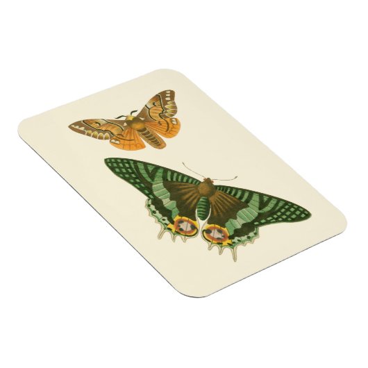 Licht geordende vlinderschildering magneet (Rechterzijde)