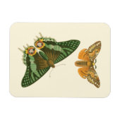 Licht geordende vlinderschildering magneet (Horizontaal)