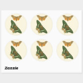 Licht geordende vlinderschildering ronde sticker (Vel)