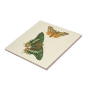 Licht geordende vlinderschildering tegeltje (Zijkant)