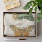 Licht geordende vlinderschildering tissuepapier (Geschenk)