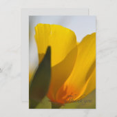 Licht gevulde papaver bedankkaart (Voorkant / Achterkant)