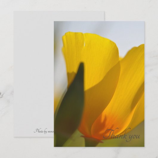Licht gevulde papaver bedankkaart (Voorkant / Achterkant)