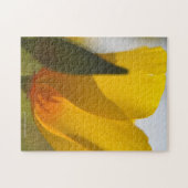 Licht gevulde papaver legpuzzel (Horizontaal)