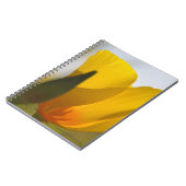 Licht gevulde papaver notitieboek (Linkerzijde)