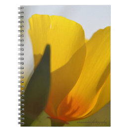 Licht gevulde papaver notitieboek