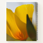 Licht gevulde papaver notitieboek (Achterkant)
