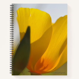 Licht gevulde papaver notitieboek