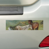 Licht grijs paard in een veld (paardachtige) bumpersticker (Op auto)