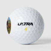 Licht grijs paard in een veld (paardachtige) golfballen (Logo)