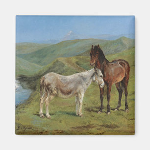 Licht grijs paard in een veld (paardachtige) magneet