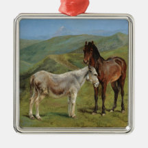 Licht grijs paard in een veld (paardachtige)