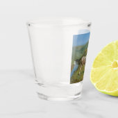 Licht grijs paard in een veld (paardachtige) shot glas (Links)