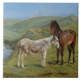 Licht grijs paard in een veld (paardachtige) tegeltje