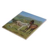 Licht grijs paard in een veld (paardachtige) tegeltje (Zijkant)