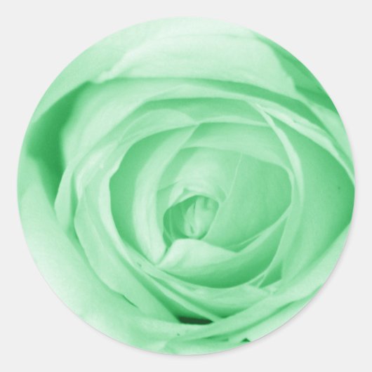 Licht groen ronde sticker (Voorkant)