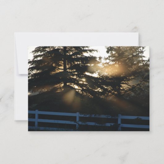 Licht in de Christelijke Sympathiekaarten Kaart (Voorkant)