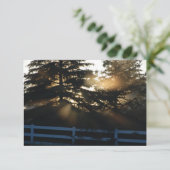 Licht in de Christelijke Sympathiekaarten Kaart (Staand voorkant)