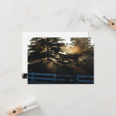 Licht in de Christelijke Sympathiekaarten Kaart (Voorkant / Achterkant in situ)