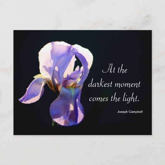 Licht in de duisternis Iris Fotografie & Quote Briefkaart (Voorkant)
