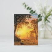 Licht in het bos door Albert Bierstadt Briefkaart (Staand voorkant)