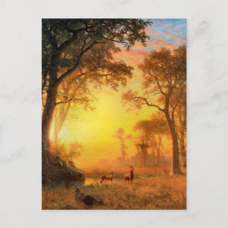 Licht in het bos door Albert Bierstadt Briefkaart
