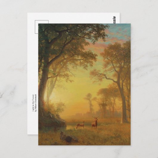 Licht in het bos door Albert Bierstadt Briefkaart (Voorkant / Achterkant)
