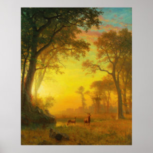 Licht in het bos poster