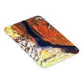 Licht is het Leven - de Kieuwgrot die met Zee verb Magneet (Rechterzijde)