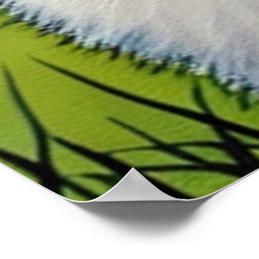 Licht ongerept poster van katten in de zomer (Hoek)