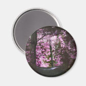 Licht op de Magneet van de Natuur van de Weg (Voorkant / Achterkant)