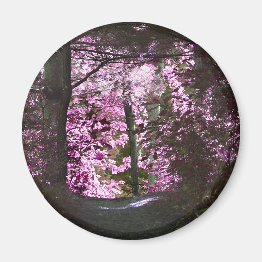 Licht op de Magneet van de Natuur van de Weg (Voorkant)