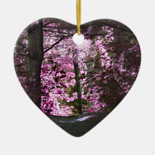 Licht op het Inspirerend Ornament van de Weg (Voorkant)