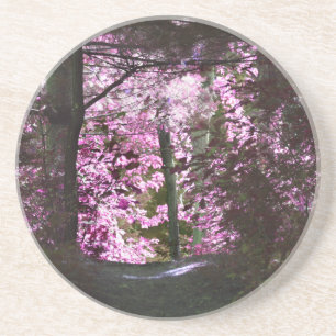 Licht op het Onderzetter Natuur pad