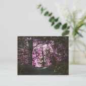 Licht op Natuur Briefkaart pad (Staand voorkant)