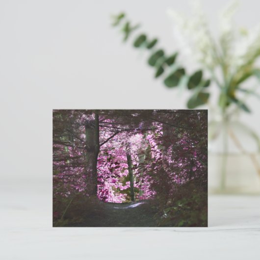 Licht op Natuur Briefkaart pad (Staand voorkant)