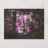 Licht op Natuur Briefkaart pad (Voorkant)