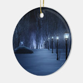 Licht Ornament van de pool (Links)