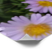 licht paars poster (Hoek)