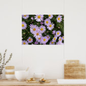 licht paars poster (Keuken)