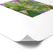 Licht Paarse Geranium Wildflower Botanische Foto Poster (Hoek)