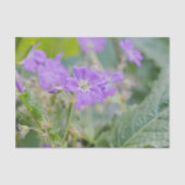 Licht Paarse Geranium Wildflower Botanische Foto Tissuepapier (Voorkant)