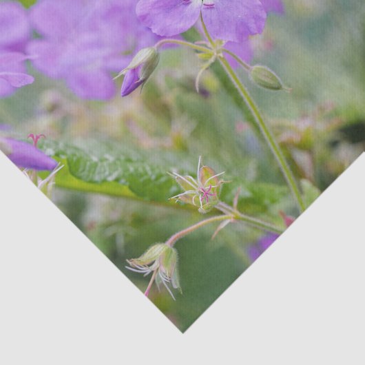 Licht Paarse Geranium Wildflower Botanische Foto Tissuepapier (Detail)