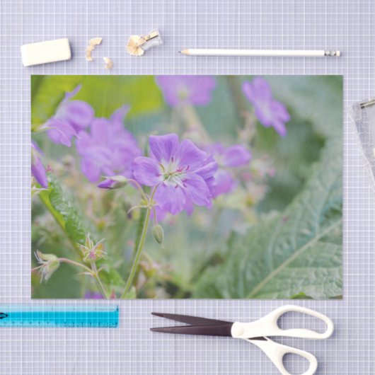 Licht Paarse Geranium Wildflower Botanische Foto Tissuepapier (Craft)