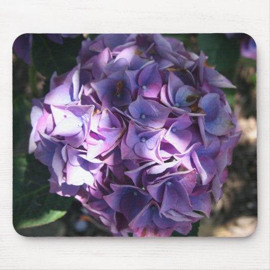 Licht Paarse hydrangeventilator Muismat (Voorkant)