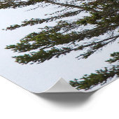 Licht poster van de buizuigkop - 3 (Hoek)