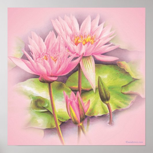 Licht roze, fijne kunst botanische posters afdrukk (Voorkant)