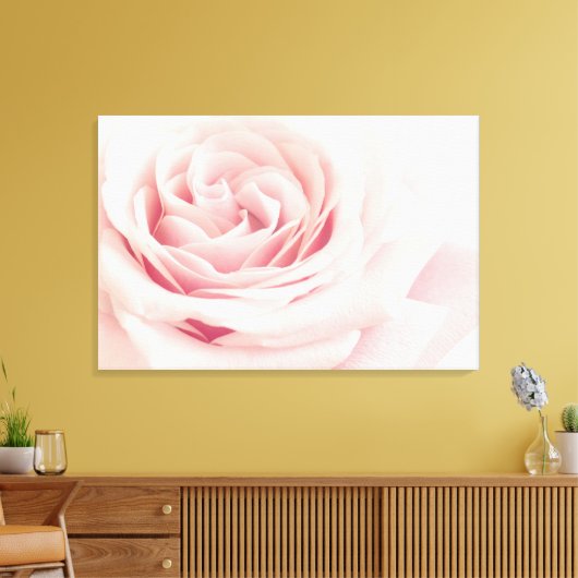 Licht roze Roos ventilator - Rozen bloemen Canvas Afdruk (Insitu (Woonkamer))