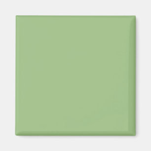 Licht Sage Groen 9DC183 Kleur - Optie om Naam toe Magneet