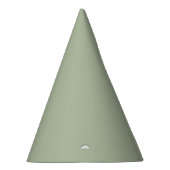 Licht Sage Groen Effen Kleur Feesthoedjes (Rechts)